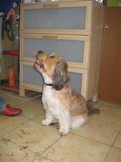 Barney nacher